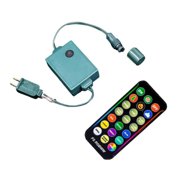 120V 100W Controller With Remote Control